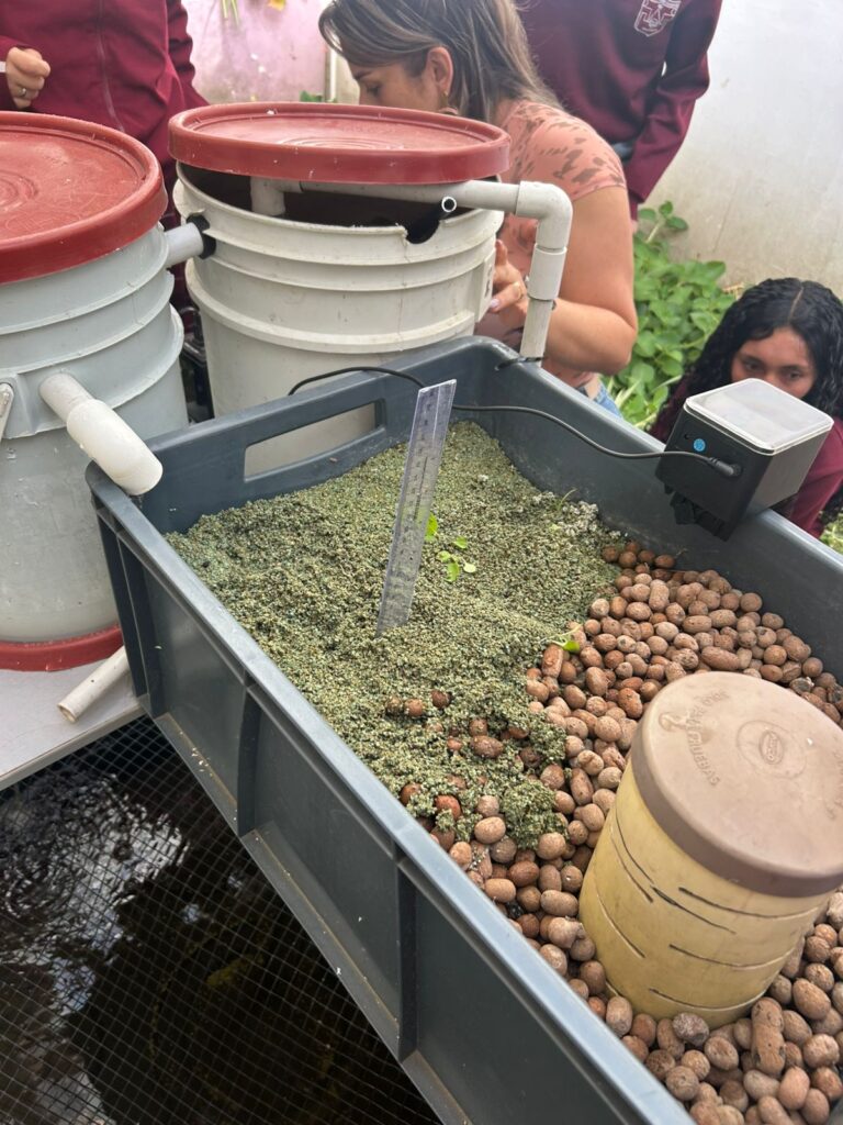 Docentes y estudiantes rurales de Antioquia trabajando en proyectos productivos escolares.