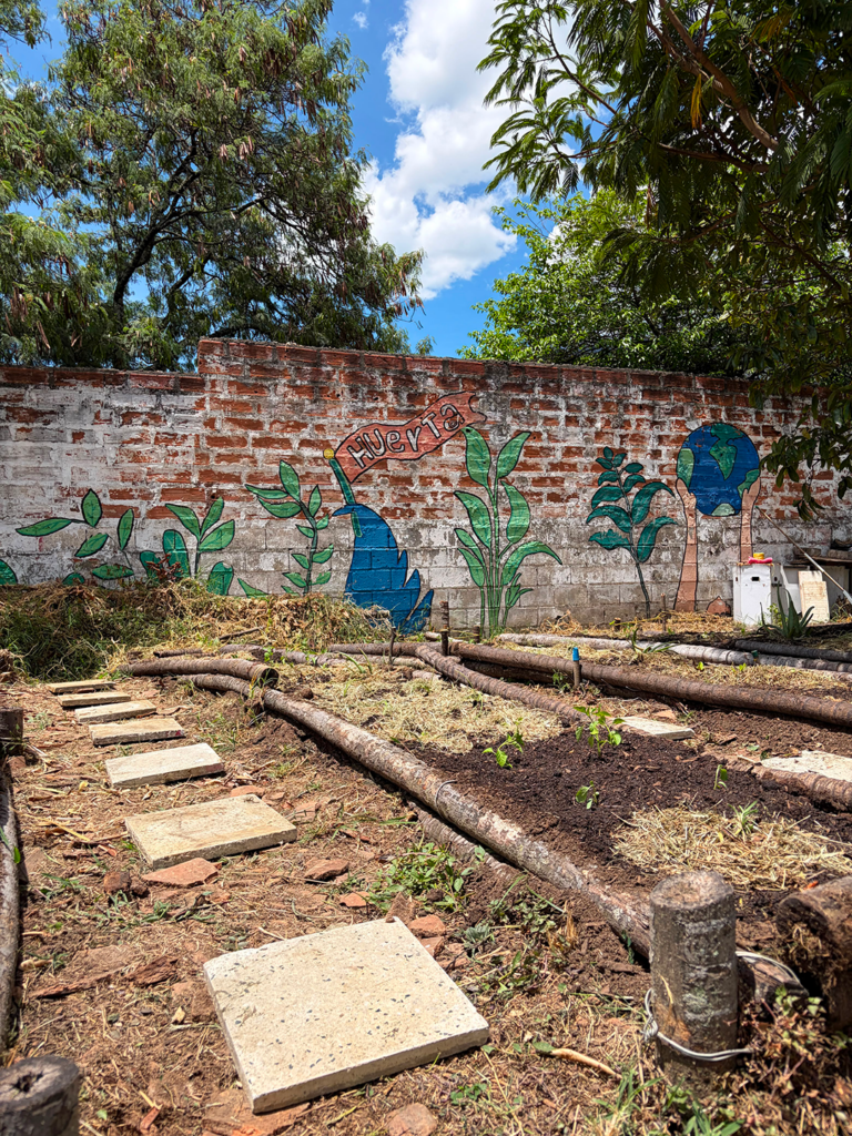 Detalle de cultivos en la sede Toscana de la Fundación Loyola