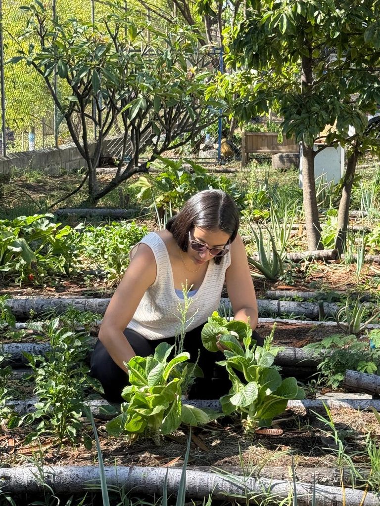  Colaboradores trabajando en la huerta pedagógica de la Fundación Loyola.