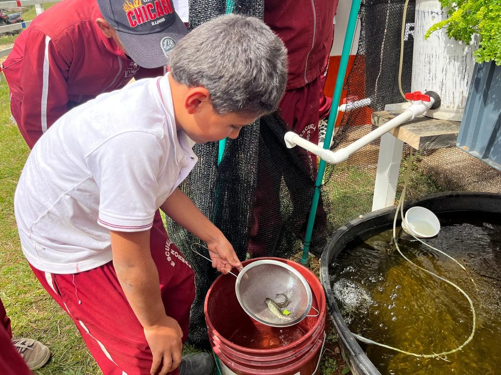 Estudiantes midiendo parámetros de agua y monitoreando cultivos en un sistema de acuaponía escolar comunitario en Antioquia.